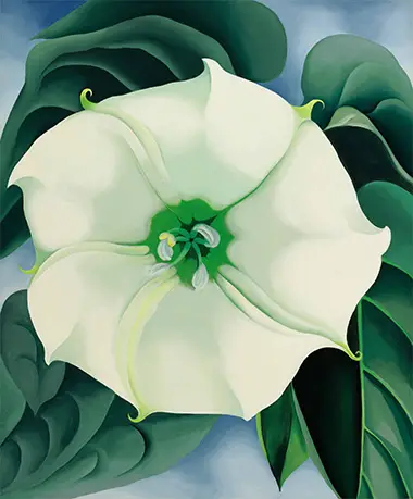 Jimson Weed / White Flower No. 1 Georgia O'Keeffe